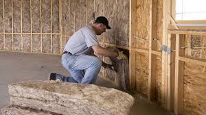 Types of Insulation We Offer in Port Royal, SC